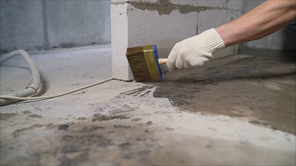 Crawl space vapor barrier installation in Potterville, MI